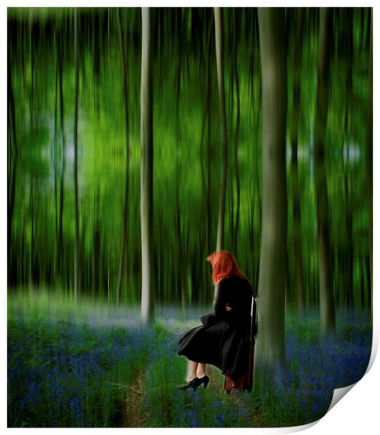 Red Head in Blue Bell wood  Art Digital art Print by David French