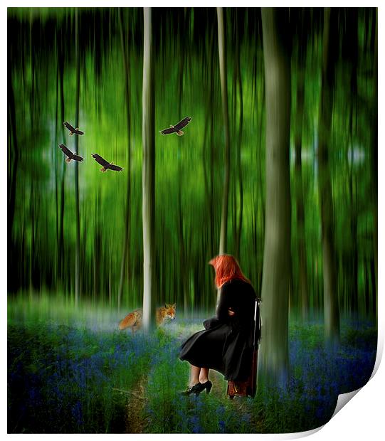 Red riding hood in Blue Bell wood   Digital art Print by David French