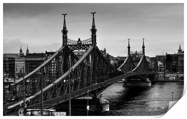 Liberty Bridge Budapest Print by David French