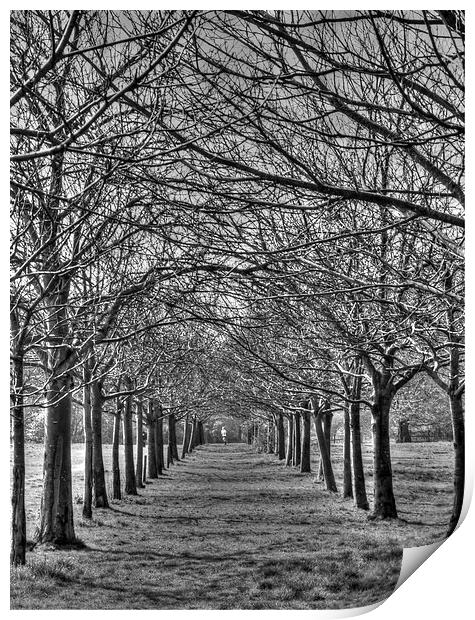 Jogger in the Park Print by David French