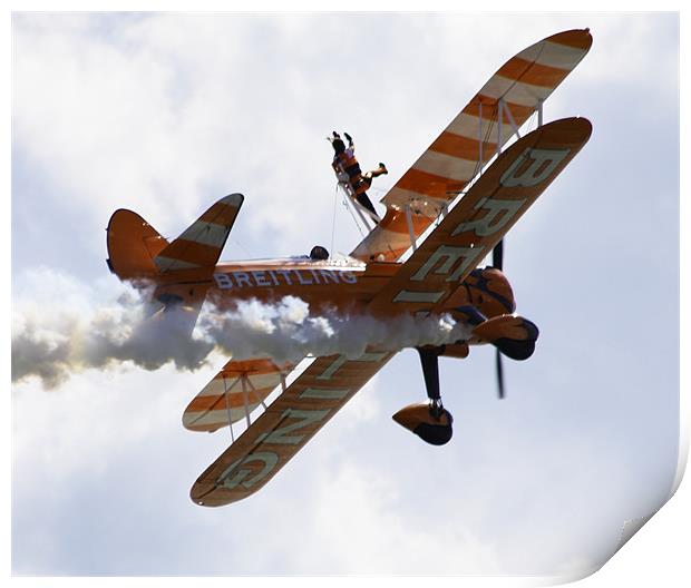 Wing Walkers Print by David French