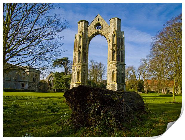 Walsingham Priory Print by David French