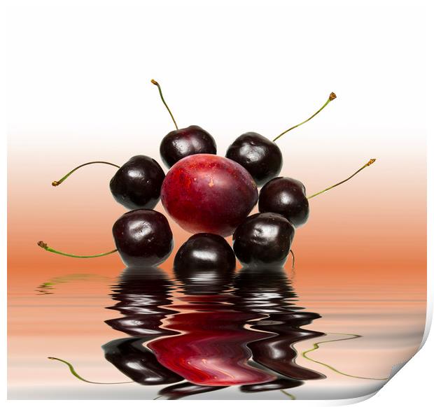 Fresh Cherries and Plums Print by David French