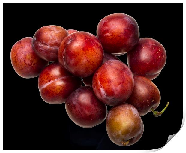 Victoria Plums Print by David French