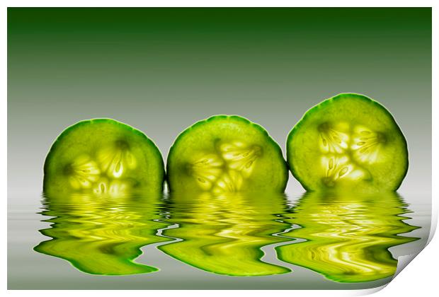 Cool as a Cucumber Slices Print by David French