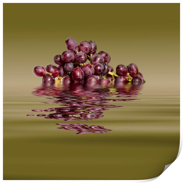 Krissy Gold Grapes to wine Print by David French