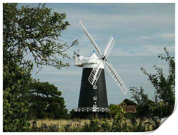 Burnham Windmill Print by David French