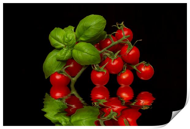 Cherry Tomatoes and Basil Print by David French