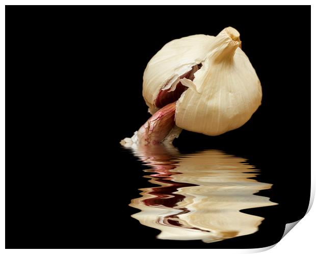 Garlic cloves of Garlic Print by David French