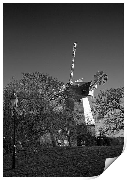 Windmill Baker Street  Orsett Thurrock Essex BW Print by David French