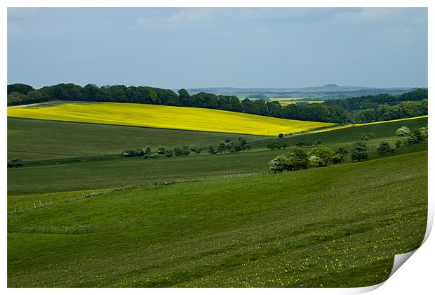 Vale of Pewsey Wiltshire Downs Print by David French