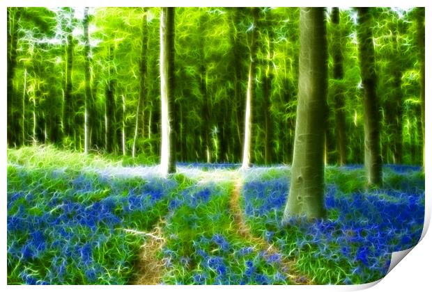 Bluebells at Westwoods Fractals Print by David French