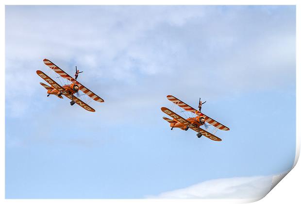 Wingwalkers Print by David French