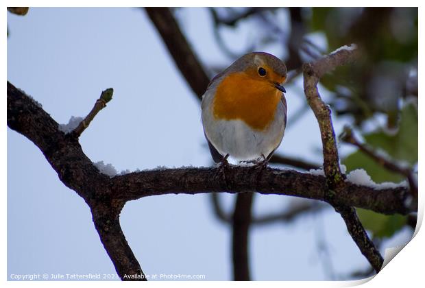 Robin perched in the snow Print by Julie Tattersfield