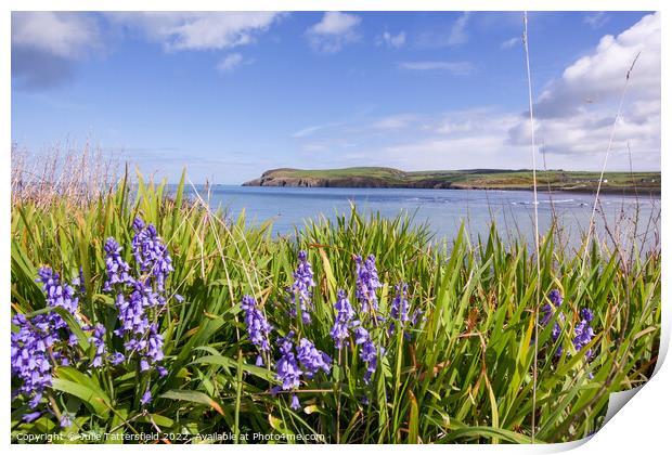 Bluebells by the sea Pembrokeshire Print by Julie Tattersfield