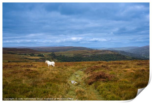 The path to the countryside  Print by Julie Tattersfield