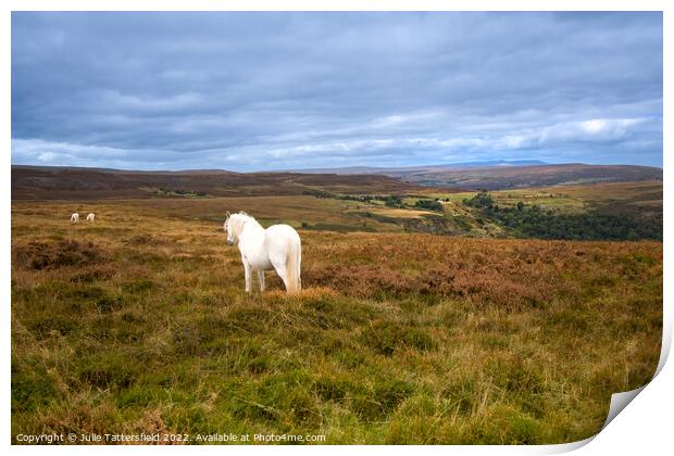 Shining horse Print by Julie Tattersfield