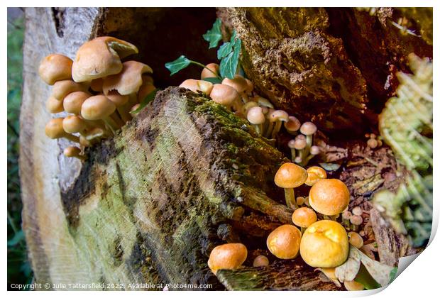Fungi Tree House Print by Julie Tattersfield