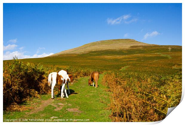The Sugar Loaf Mountain horse's trail Print by Julie Tattersfield