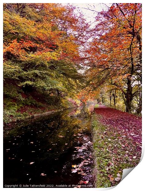 Autumn colours Print by Julie Tattersfield