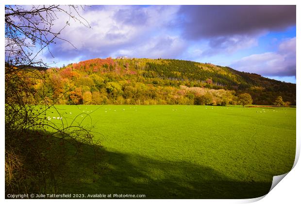 Autumn trees Print by Julie Tattersfield