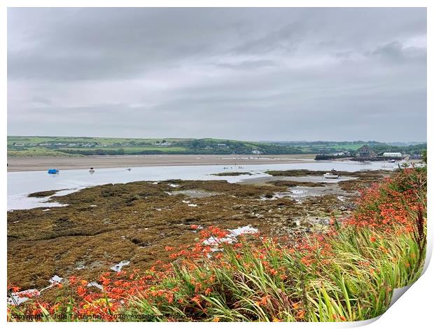 Coast path flowers with a beach view Print by Julie Tattersfield