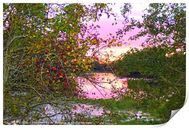Autumn Berries framing the sunset Oxfordshire Print by Julie Tattersfield