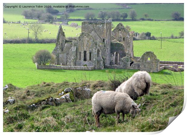 Hore Abbey. Cashel, Ireland Print by Laurence Tobin