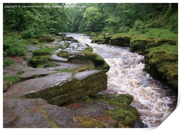 Rapids on The Strid near Bolton Abbey Print by Laurence Tobin