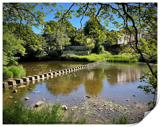 Morpeth Stepping Stones  Print by David Thompson