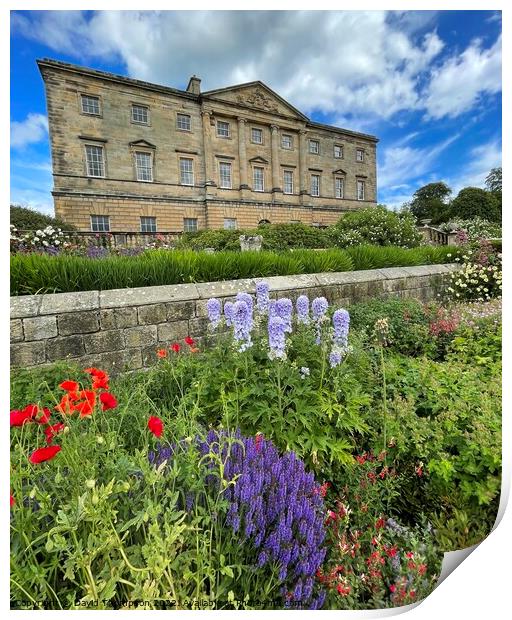 Howick Hall Northumberland  Print by David Thompson