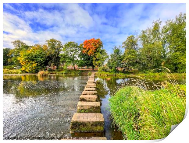 Autumn Stepping Stones Morpeth Print by David Thompson