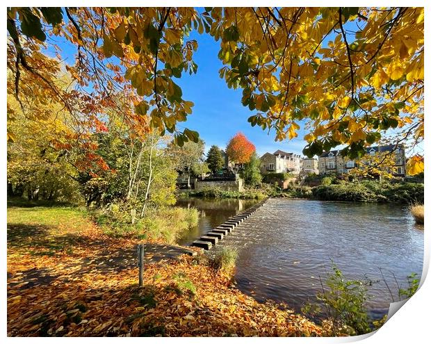 Stepping Stones Morpeth Northumberland Print by David Thompson