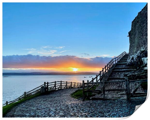 Lindisfarne Holy island  Print by David Thompson