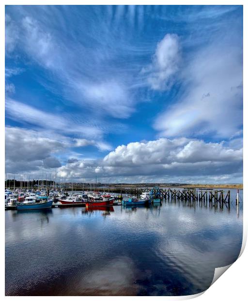 Amble Marina Northumberland Coast  Print by David Thompson