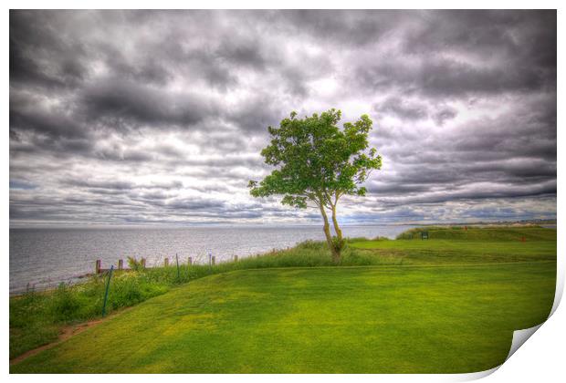  Alnmouth Golf Course Northumberland Coast  Print by David Thompson