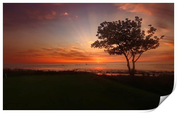 Alnmouth   Northumberland Coast Print by David Thompson