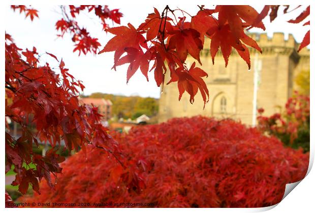 Morpeth Courthouse Northumberland Print by David Thompson