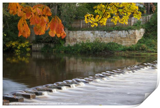 Autumn in Morpeth Northumberland Print by David Thompson