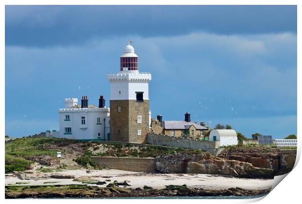Coquet Island Lighthouse Northumberland Coast Print by David Thompson