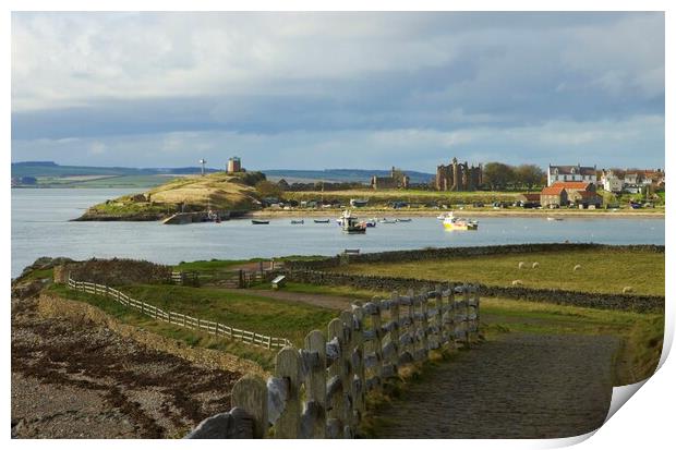 Holy island harbour from Lindisfarne castle Print by David Thompson