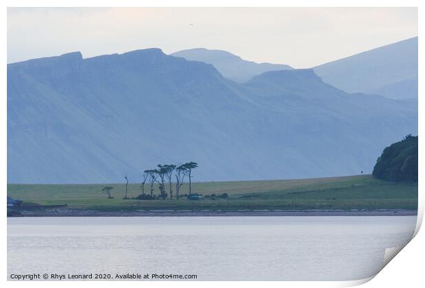 Odd trees, part of the Raasay House Hotel grounds Print by Rhys Leonard