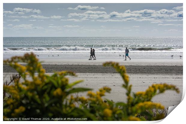 Serene Ocean Shore Print by David Thomas