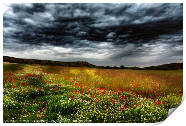 Colorful fields 2 Print by Vicente Sargues