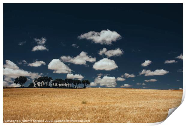 Cereal fields and clouds Print by Vicente Sargues
