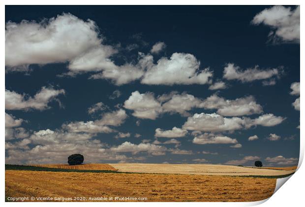 Cereal fields and cloudscape Print by Vicente Sargues