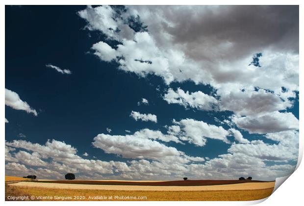 Cloudscape on fields Print by Vicente Sargues