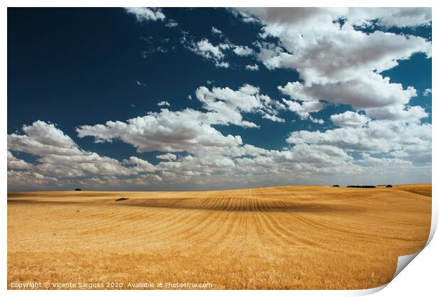 Cereal fields with cloud shadows Print by Vicente Sargues