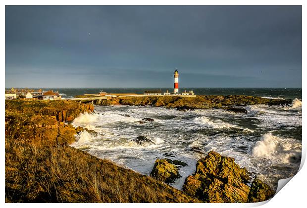 Guiding Ships in Treacherous Waters Print by Don Nealon