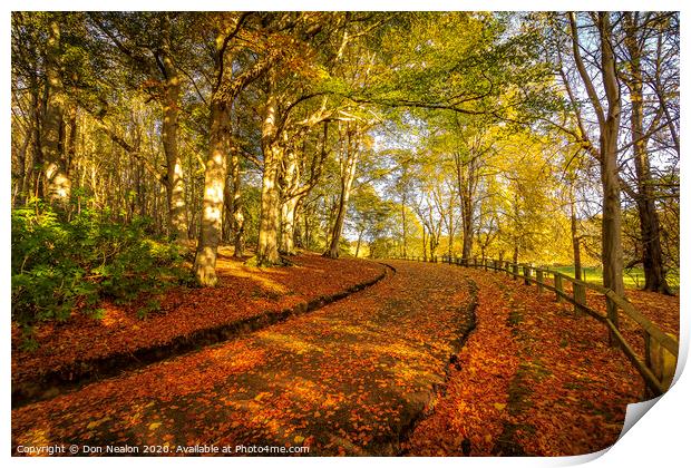A Pathway of Golden Leaves Print by Don Nealon